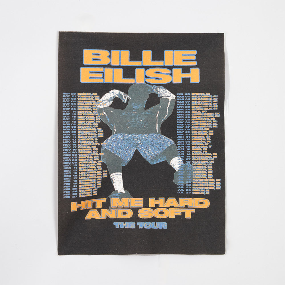 HIT ME HARD AND SOFT: THE TOUR 2024 Canvas Fabric Poster - Billie