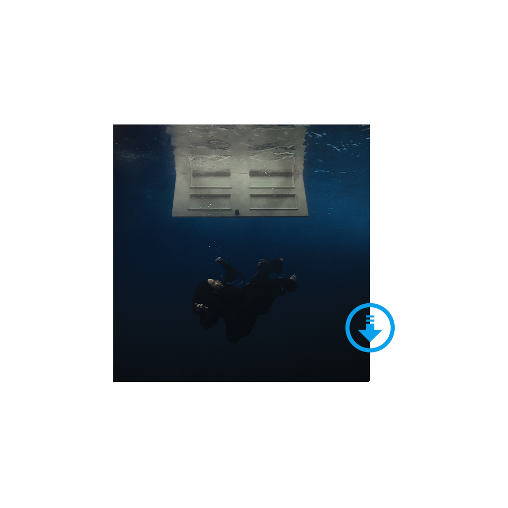 HIT ME HARD AND SOFT - EXCLUSIVE DIGITAL ALBUM (WITH ALL ISOLATED VOCALS)