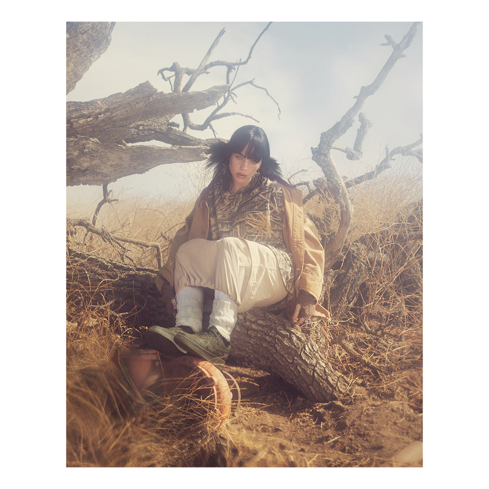 Nike x Billie Eilish AF-1 Low SP Sequoia Lifestyle 1