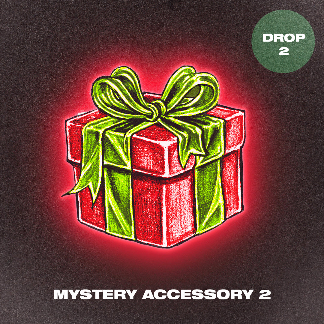 Mystery Accessory 2