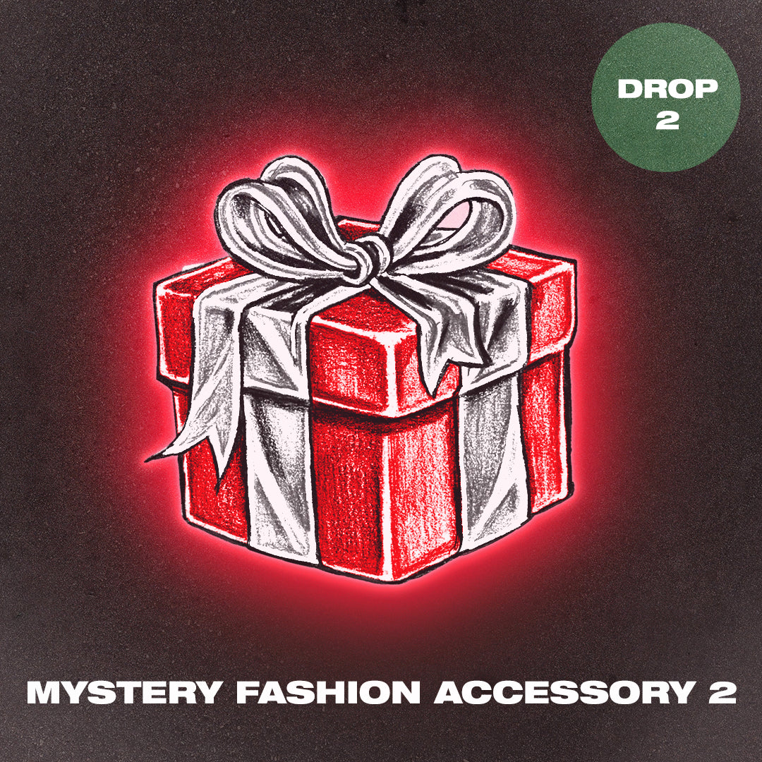 Mystery Fashion Accessory 2