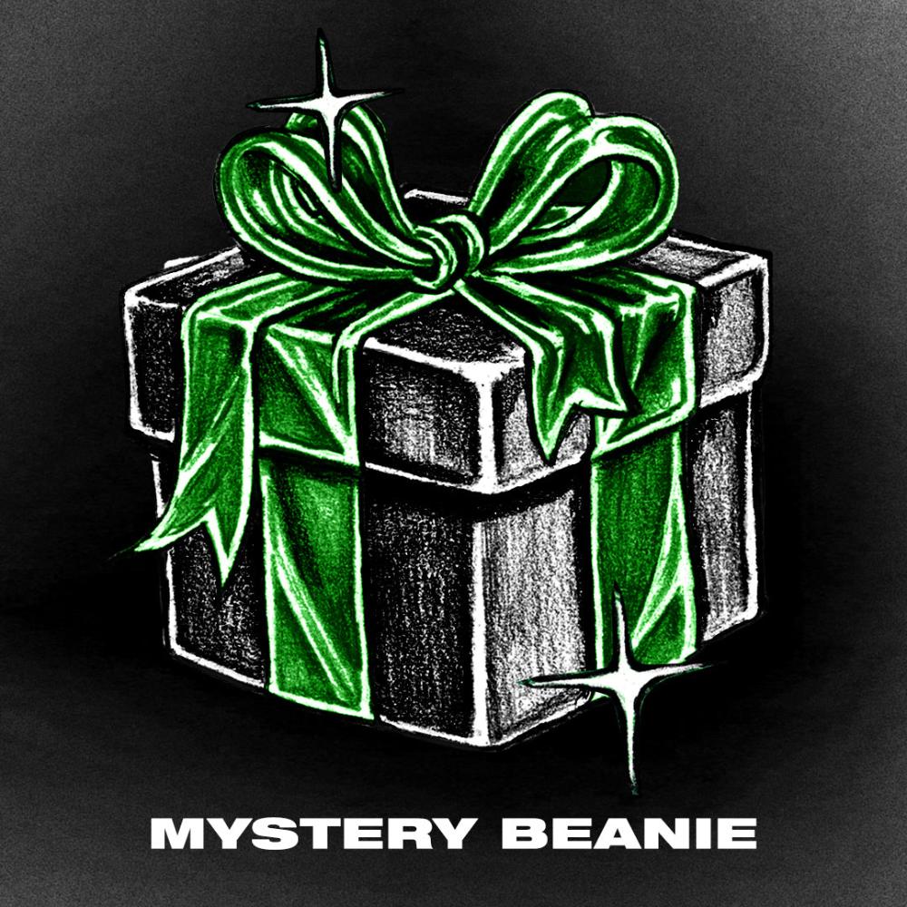 Mystery Beanie  - Holiday 2024