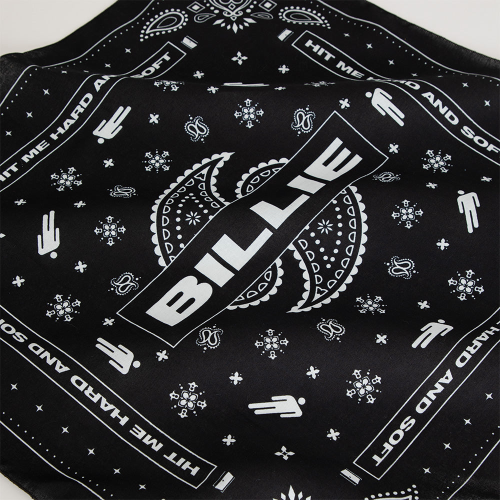 Paisley Blohsh Black Bandana Detail