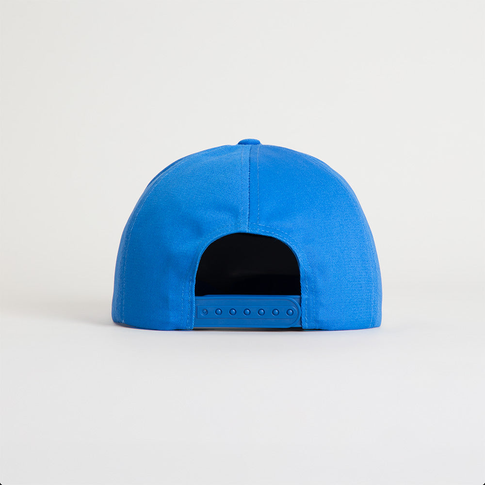 Billie Blue Flat Brim Snapback Back