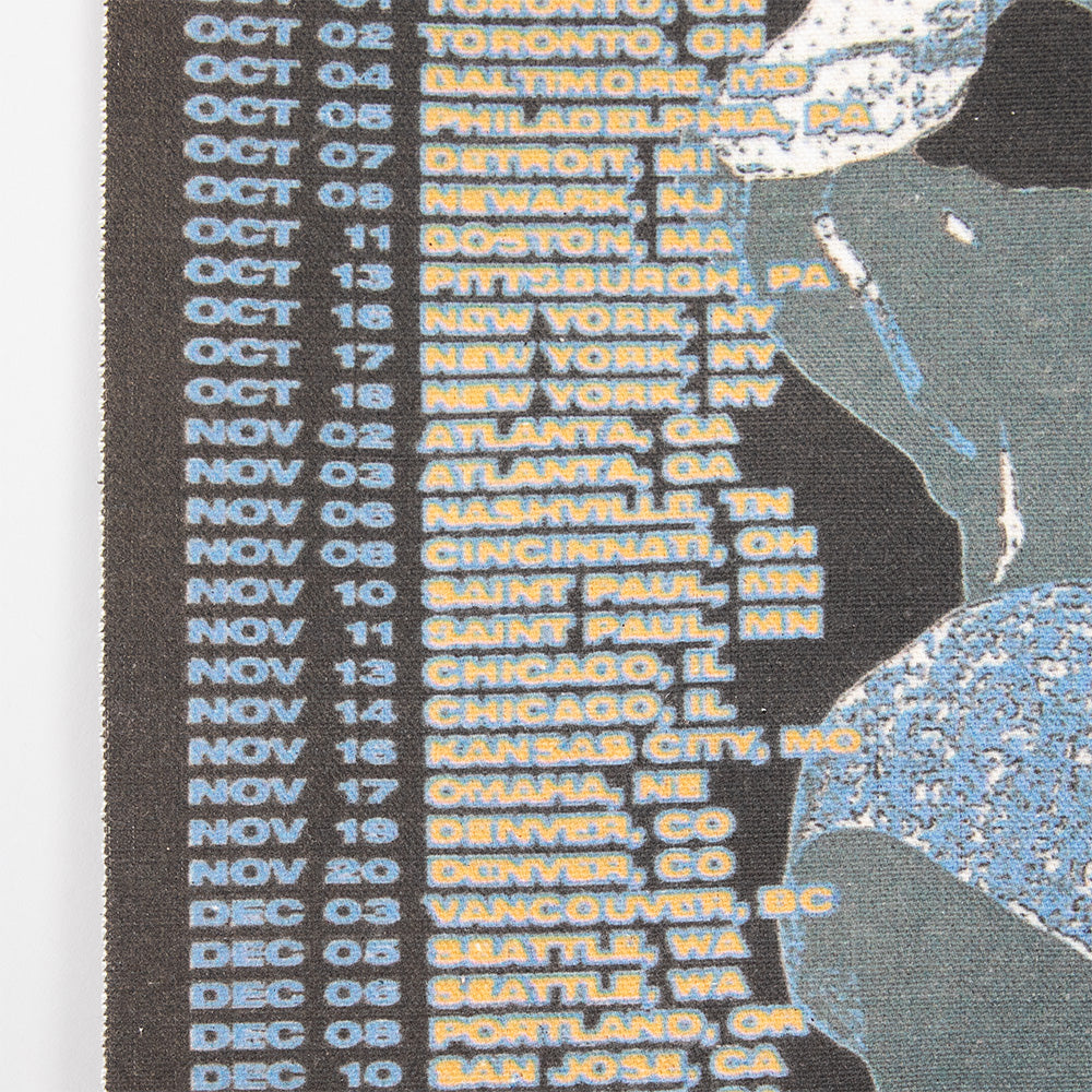 HIT ME HARD AND SOFT: THE TOUR 2024 Canvas Fabric Poster - Billie