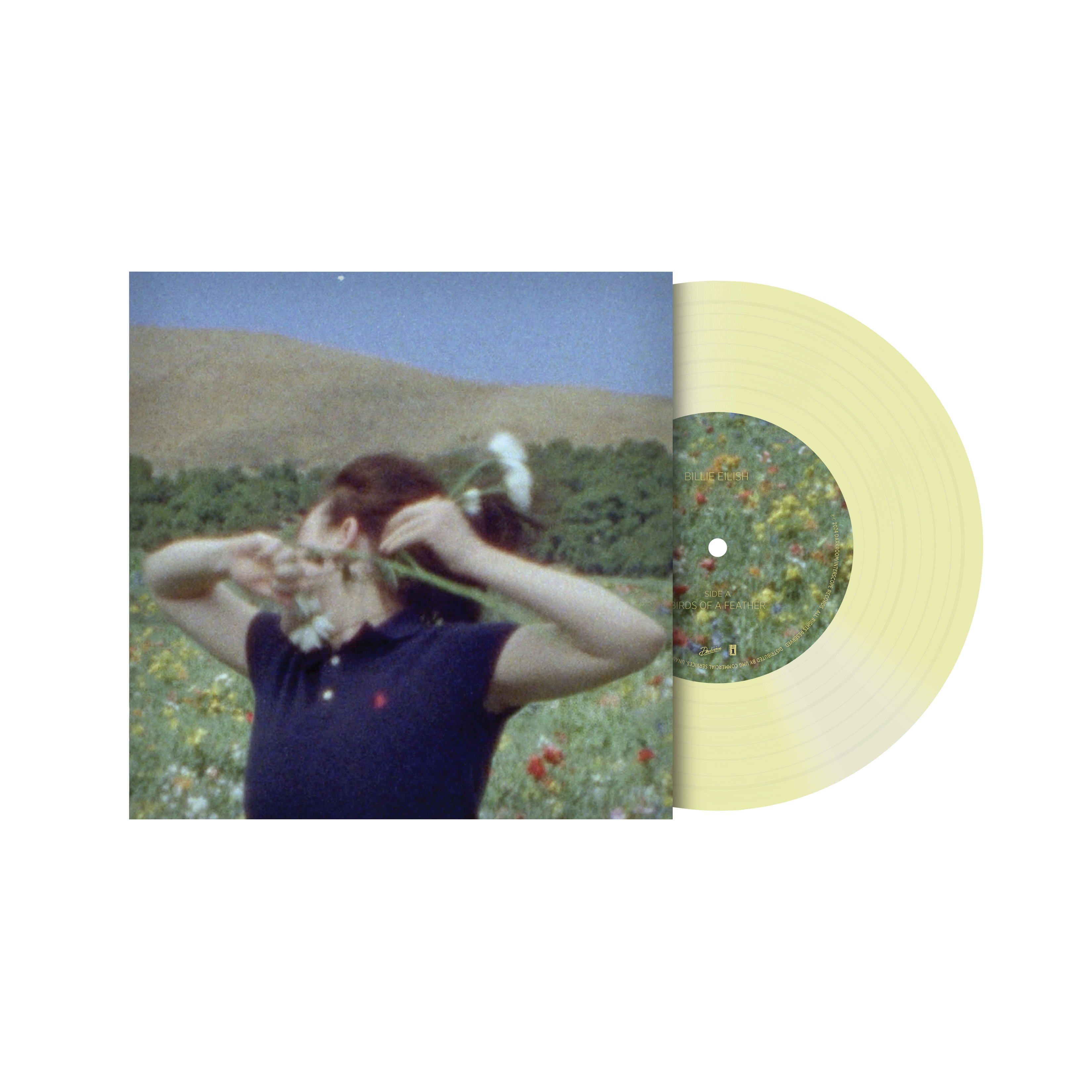 BIRDS OF A FEATHER 7" Vinyl [Translucent Green]