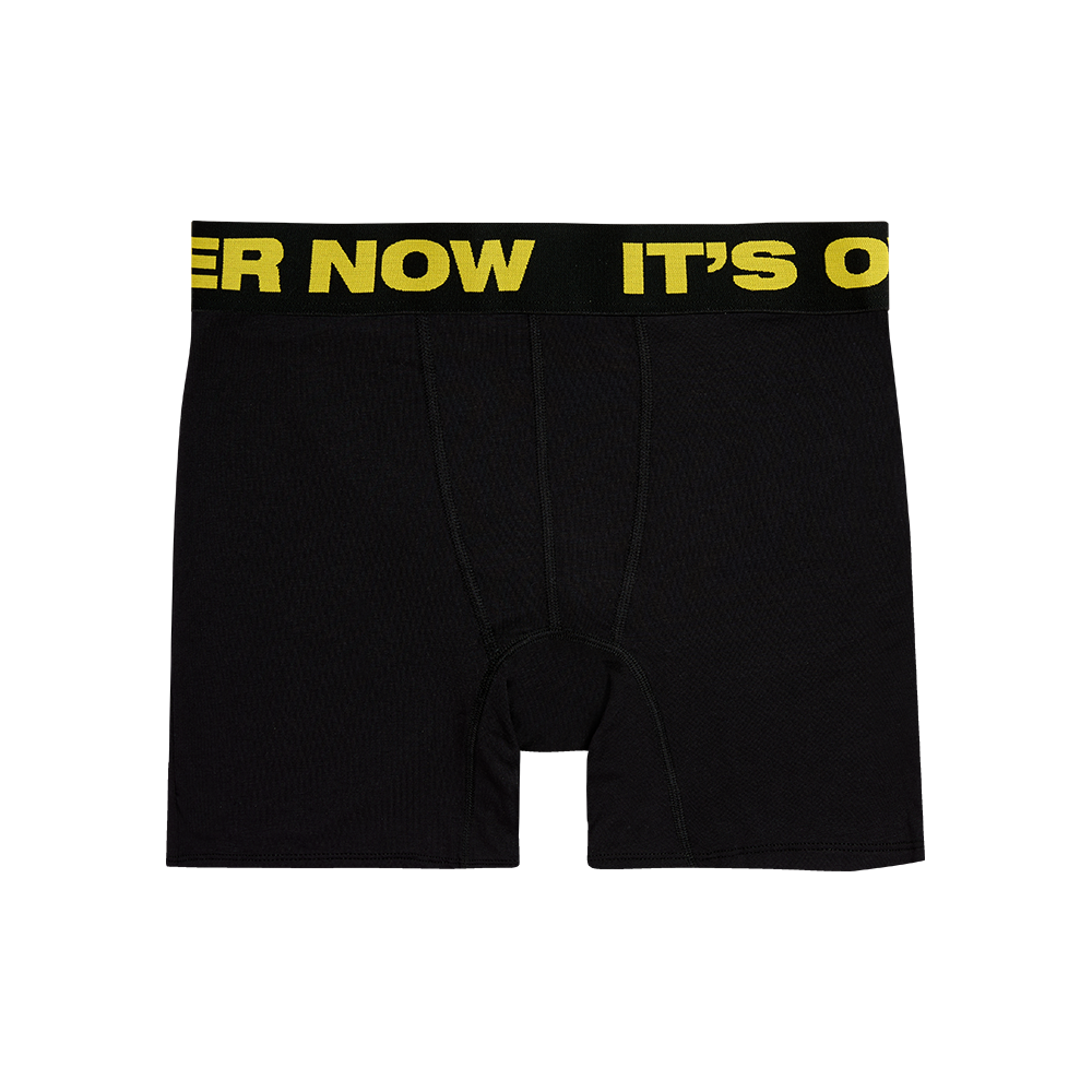 HIT ME HARD AND SOFT Tour Lyric Boxer Brief Set of 3