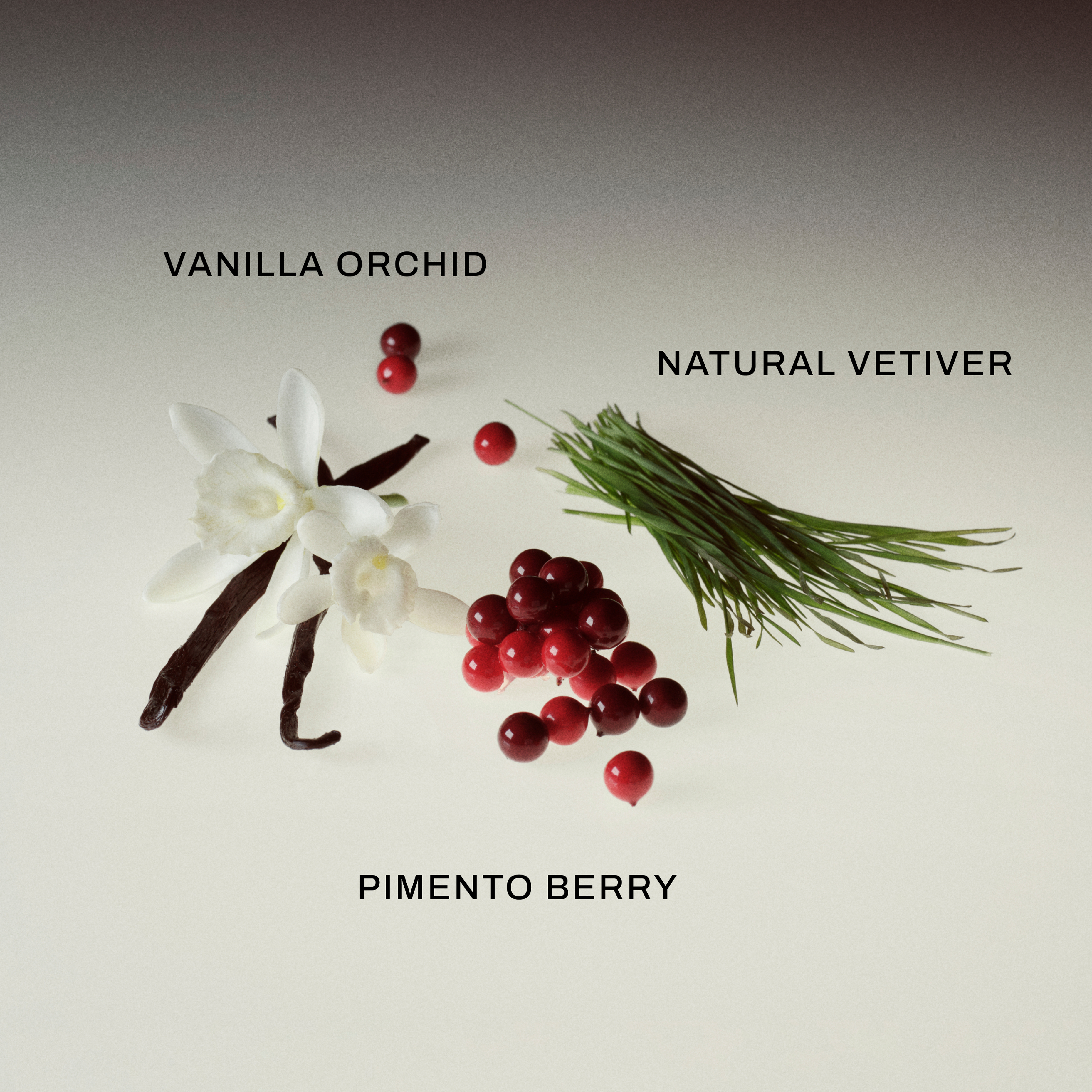 YOUR TURN 2 Eau de Parfum ingredients